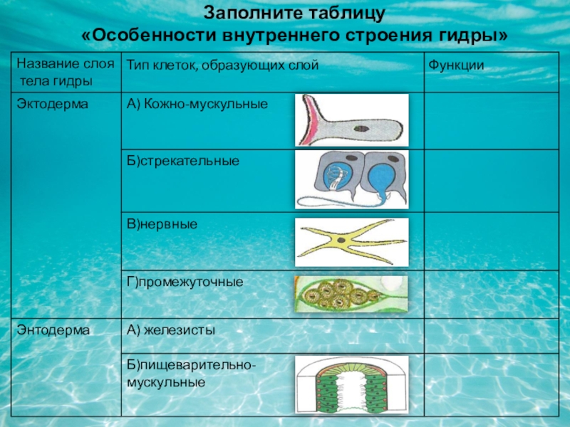 Кракен онион рабочая ссылка